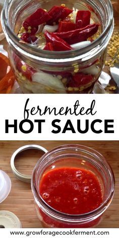 Fermented Hot Sauce, Homemade Hot Sauce, Fermented Veggies, Hot Sauce Recipes, Dried Peppers, Fermentation Recipes, Fermented Vegetables, Pepper Sauce, Fermented Foods