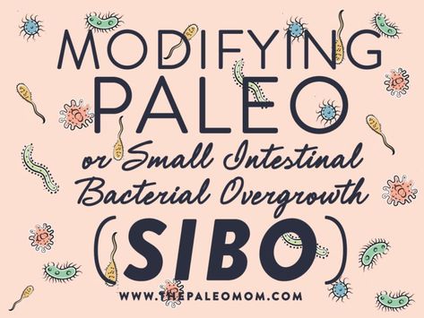 The Paleo Mom, Paleo Workout, Bland Diet, Scd Diet, Paleo Mom, Fodmap Diet Recipes, Small Intestine Bacterial Overgrowth, Plant Paradox, Autoimmune Paleo