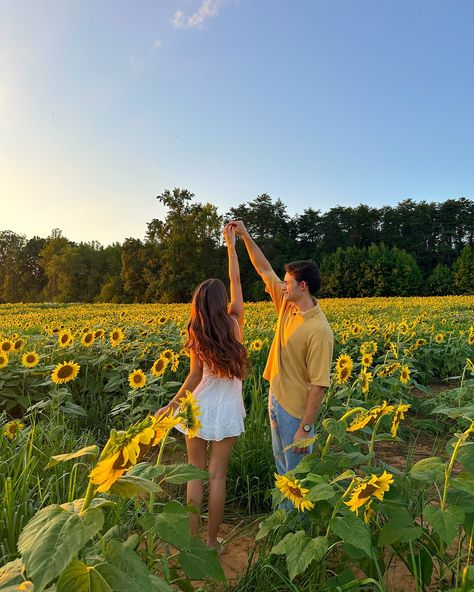 sunflower lovers🌻🌅🦋 #sunflowerfield #flowerfield #fallactivities #couplegoals #falldate Sunflower Photography Couples, Sunflower Feild Pics Couple, Sunflower Field Couples Photoshoot, Couple Sunflower Field Pictures, Couple Flower Field, Sunflower Shoot, Sunflower Field Photoshoot, Sunflower Photos, Sunflower Field Pictures