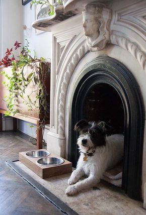 Fireplaces are both wonderful features and surprisingly versatile. Try one of these 10 fantastic ideas for decorating an unused fireplace and get roaring! Dog Bed Fireplace, Dog Bed In Fireplace, Indoor Dog Space, Fireplace Dog Bed, Dog House Aesthetic, Doggie Nook, Dog Nook Ideas, Pet Nook, Empty Fireplace Ideas