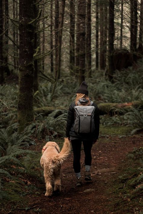 Hiking Photography, Dog Photoshoot, Door Entrance, Hiking Dogs, Farmhouse Front, Adventure Aesthetic, Entrance Design, Dog Adventure, Wild Adventures