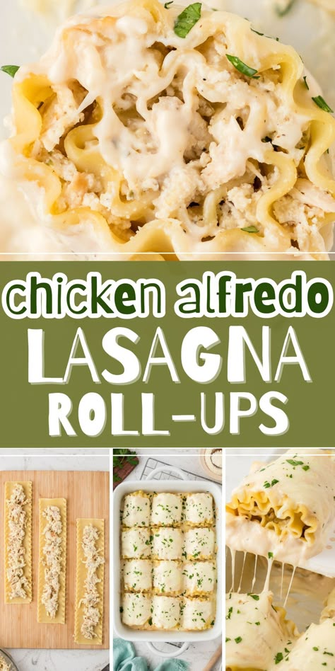 Chicken Alfredo Lasagna Rollups are a comforting pasta dinner that the entire family will want to eat. Each lasagna roll up is stuffed with chunks of chicken, a cheesy ricotta cheese mixture, seasonings, and Alfredo sauce! Chicken Lasagna Rollups, Chicken Alfredo Lasagna Rolls, Lasagna Roll Up, Chicken Alfredo Lasagna Roll Ups, Alfredo Lasagna Roll Ups, Chicken Lasagna Roll Ups, Meatless Pasta Recipes, Lasagna Rolls Recipe, Ricotta Stuffed Chicken