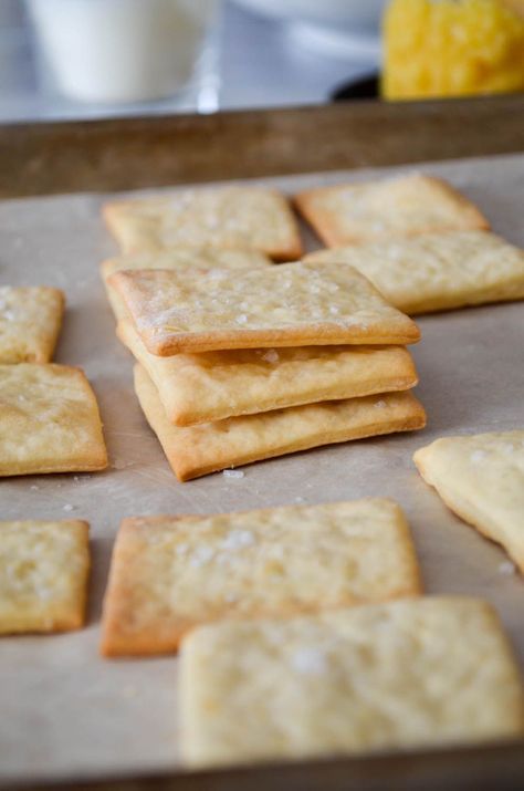 HOMEMADE SALTINE CRACKERS Super easy recipe, ready to eat in 30 minutes. | In Jennie's Kitchen Homemade Saltines, Homemade Saltine Crackers, Saltine Cracker Recipes, Rosemary Crackers, Homemade Crackers Recipe, Crackers Recipe, Savoury Biscuits, Homemade Crackers, Saltine Crackers