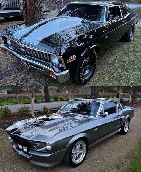 60s Muscle Cars, 70s Muscle Cars, Mustang Gt500, Classic Car Restoration, Mustang Boss, Chevrolet Nova, Chevy Nova, Car Restoration, Drift Cars