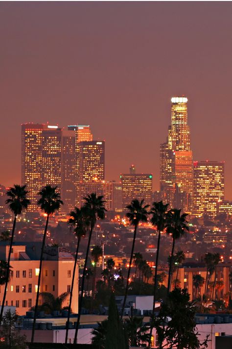 Things To Do La, Travel Aesthetic Los Angeles, Night Life Los Angeles, Los Angeles City Aesthetic Night, California City Lights, California Night, Los Angeles Night City Lights, Aloita Resort, La Night