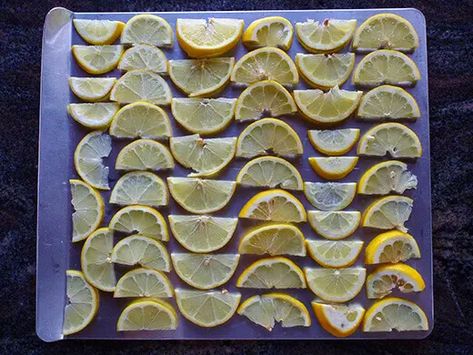 Freezing Fresh Lemon Slices, Lemon Juice and Lemon Zest – Garden Betty Feingold Diet, Freezing Lemons, Frozen Lemon, Lemon Slices, Lemon Slice, It Goes On, Juicing Lemons, Freezer Meals, Frozen Food