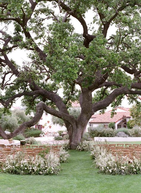 Tree Wedding Ceremony, Ojai Valley Inn And Spa, Oak Tree Wedding, Aisle Flowers, Theme Nature, Wishing Tree, Wedding Altars, Tent Reception, Pampas Gras