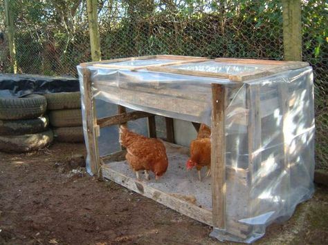 Covered Chicken Dust Bath, Covered Dust Bath For Chickens, Rain Shelter For Chickens, Chicken Rain Shelter, Chicken Dust Bath Ideas Covered, Chicken Shelter From Rain, Chicken Dust Bath Containers, Chicken Shelter Ideas, Quail Dust Bath