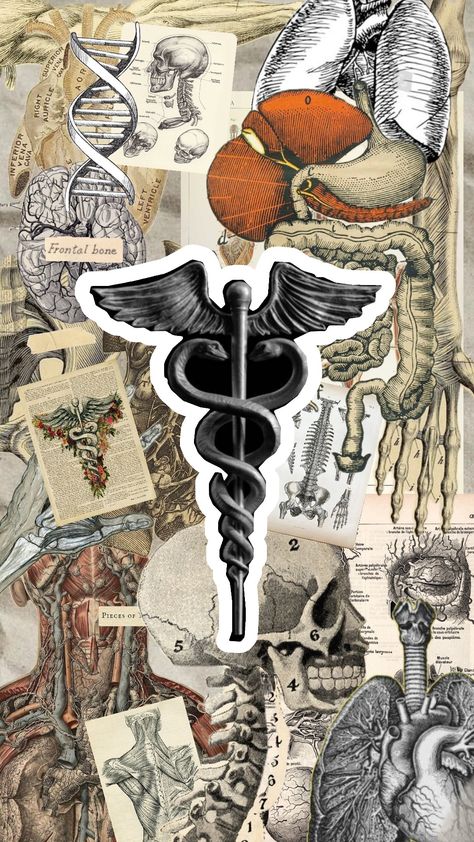 #humananatomy #anatomy #scientist #medecine #books #art #humanbody #studying Aesthetic Wallpaper Medical, Cute Medical Wallpaper, Scientist Aesthetic Wallpaper, Health Science Aesthetic, Anatomy Aesthetic Wallpaper, Medical Aesthetic Wallpaper, Medicine Wallpaper Aesthetic, Medical Art Creative, Medical Wallpaper Aesthetic