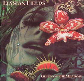 Elysian Fields, Funky Art, Flower Field, Album Art, The Song, Drawing Reference, Aesthetic Art, Collage Art, Art Boards