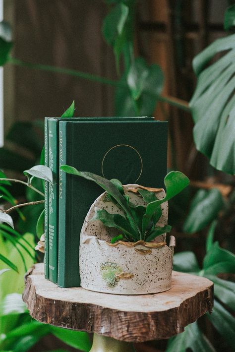 Birch Bark Planter Book Ends (for Houseplants) Bookself Decor 📚 SHOP Handmade Pottery - Nature Inspired Ceramic Art by Shii Kaina Pottery Book Ends, Air Dry Clay Bookends, Clay Book Holder, Clay Bookends, Ceramic Book Ends, Ceramic Bookends, Pottery Inspo, Sea Otters, Clay Pieces