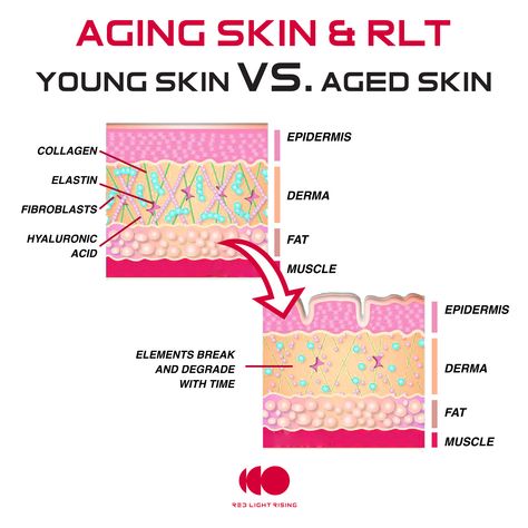 Skin Physiology, Looking Younger, Young Skin, Red Light Therapy, Aging Process, Science Education, Light Therapy, Look Younger, Skin Firming