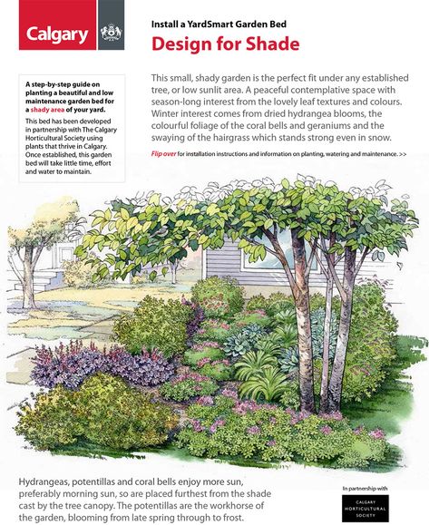 American Meadows, Drought Tolerant Garden, Backyard Shade, John 5, Hydrangea Not Blooming, Low Maintenance Garden, Garden Features, Garden Layout, Shade Garden