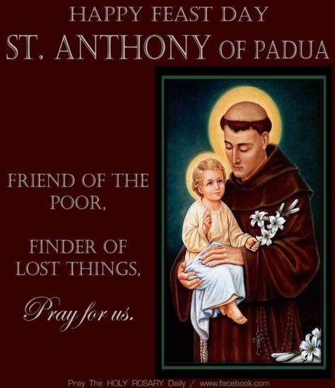 ~Feast Day - 13 June Happy Feast Day, Saints Quotes, Happy Feast, Saint Quotes Catholic, Mama Mary, Strong Faith, Holy Rosary, Saint Anthony, Saint Quotes