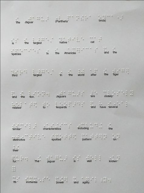 Blind Alphabet, Interactive Typography, Braille Design, Braille Art, Braille Activities, Braille Alphabet, Blind Art, Accessible Design, Drinks Bar