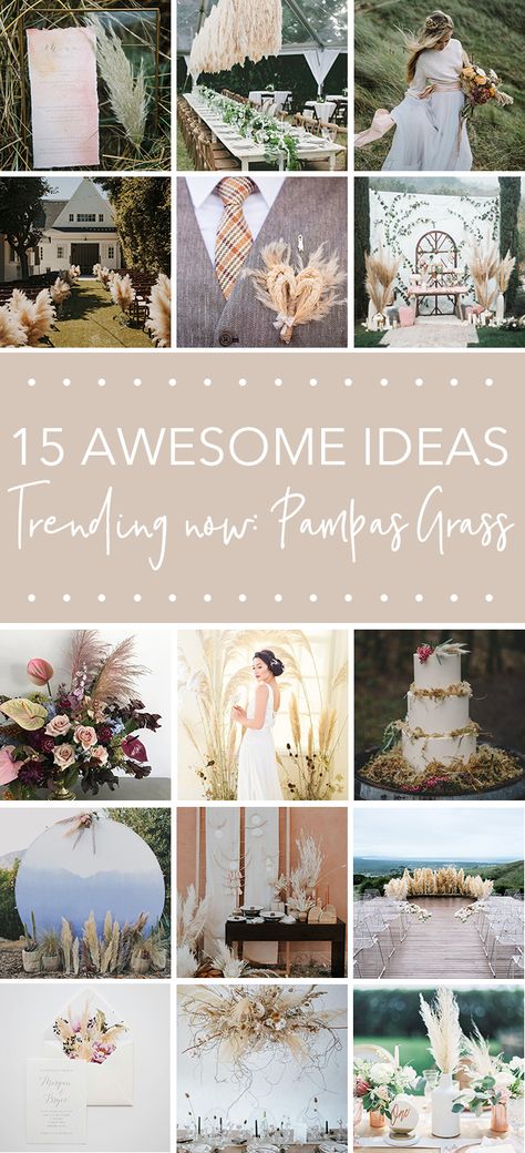 Pampas Grass Wedding Aisle, Pampas Grass Decor Wedding, Pampas Grass Wedding Decor, Grass Centerpiece, Pampas Grass Wedding, Rehearsal Dinner Decorations, Bouquet Tutorial, Pampas Grass Bouquet, Pampas Grass Decor