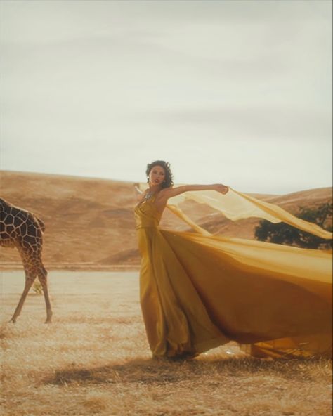 Wildest Dreams Music Video, Taylor Swift Music Videos Outfits, Taylor Swift Wildest Dreams, Wonderland Taylor Swift, Taylor Swift Dress, Taylor Swift Music Videos, Taylor Swift Tour Outfits, Dream Music, Swift Tour