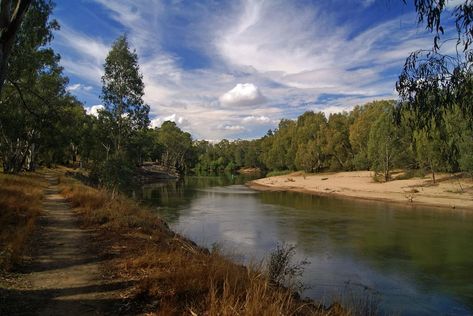 THE 10 BEST Things to Do in Wagga Wagga (Updated 2024) Wagga Wagga, What To Do Today, To Do Today, In November, New South Wales, Tourist Attraction, This Weekend, Places To See, Trip Advisor