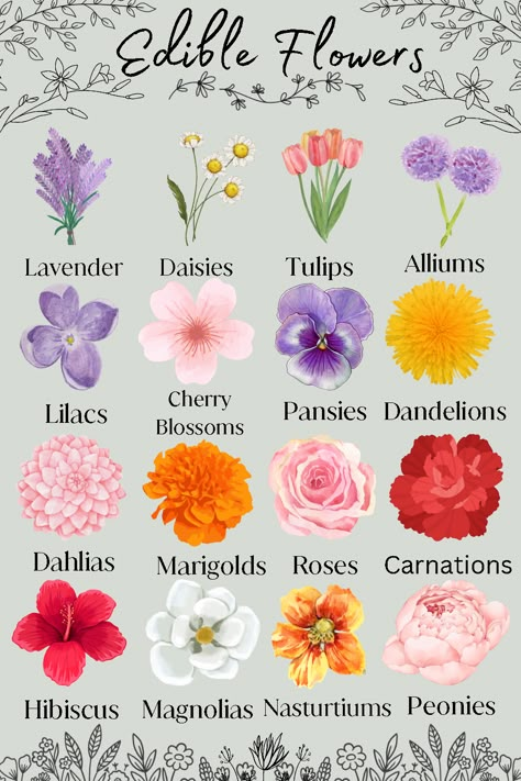 These Flowers look beautiful in your garden and are edible! They are great in meals and as garnish in any dish for a pop of color.🌻🌷 2000 Wallpaper, Flower Dictionary, Sage Green Wallpaper, List Of Flowers, Different Types Of Flowers, Flower Meanings, Flower Names, Language Of Flowers, Edible Flowers