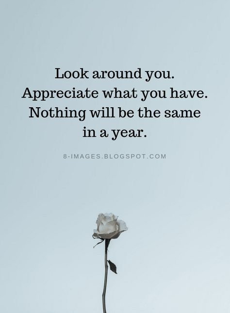 Gratitude Quotes Look around you. Appreciate what you have. Nothing will be the same in a year. Grateful Quotes, Thankful Quotes, Appreciate Life Quotes, Appreciate What You Have, Appreciation Quotes, Gratitude Affirmations, Fav Quotes, Gratitude Quotes, Great Quotes