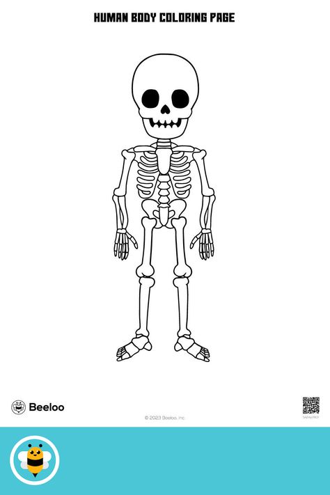 Medium human body-themed coloring page for kids ages 5 and up. Featuring: Body, bones, skeleton Human Body Coloring Pages, Body Coloring Pages, Body Coloring, Human Body Printables, Body Bones, Crafts And Activities For Kids, Tracing Letters, Printable Crafts, Printable Activities