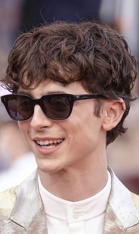 Timothee Chalamet Short Hair, Starboy Haircut, Mod Hairstyle Men, Black Hair With Brown Highlights, Mod Cut, Undercut Curly Hair, David Hair, Top Haircuts For Men, Male Haircuts Curly