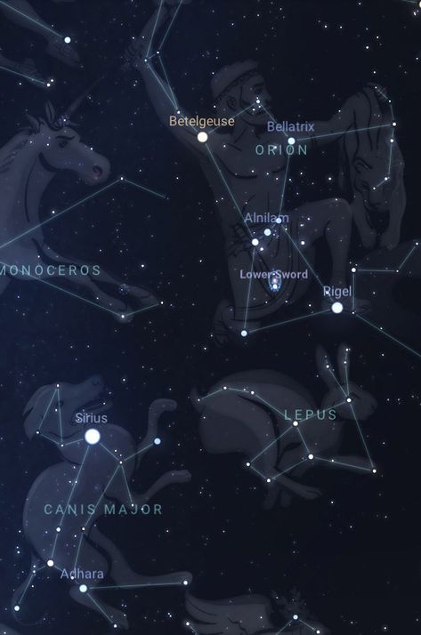 Sirius | The Brightest Star in the Sky | Pictures, Facts, and Location Star Sirius, Sirian Starseed, Star Meaning, Brightest Star In The Sky, The Dog Star, Sirius Star, Orion Constellation, Astronomy Facts, Systems Art