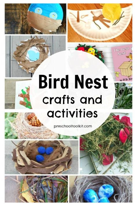 20+ Bird Nest Crafts for Kids #kidscrafts #prekcrafts - Preschool Toolkit Bird Nest Crafts, Birds Nest Craft, Preschool Birds, Bird Nests Art, Birds Theme, Bird Nest Craft, Flying Creatures, Nest Art, Spring Preschool