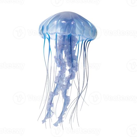 AI generated jellyfish on transparent background Jellyfish Png Icon, Widget Icon Transparent, Transparent Widget Icons, Jellyfish White Background, Jellyfish Transparent, Jellyfish Widget, Transparent Jellyfish, Jellyfish Background, Jellyfish Png