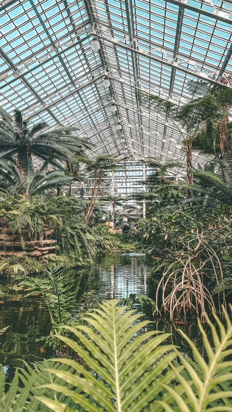 alanainwanderland on Instagram: Wayyyy better than giving a bouquet, take your love to #Chicago’s @gpconservatory! 💚🌴🌿 Garfield Park Conservatory is a true Chicago hidden… Garfield Conservatory Chicago, Garfield Park Conservatory, Travel Pins, Travel Bucket List, Travel Bucket, Bucket List, Plant Leaves, Chicago, Plants