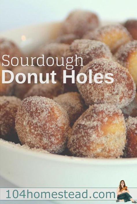 Soughdough Discard Recipes, Sourdough Discard Donut Recipes, Sourdough Donut Holes, Cinnamon Sugar Sourdough, Herman Starter, Sourdough Donut, Sourdough Donut Recipe, Donut Holes Recipe, Dough Starter Recipe