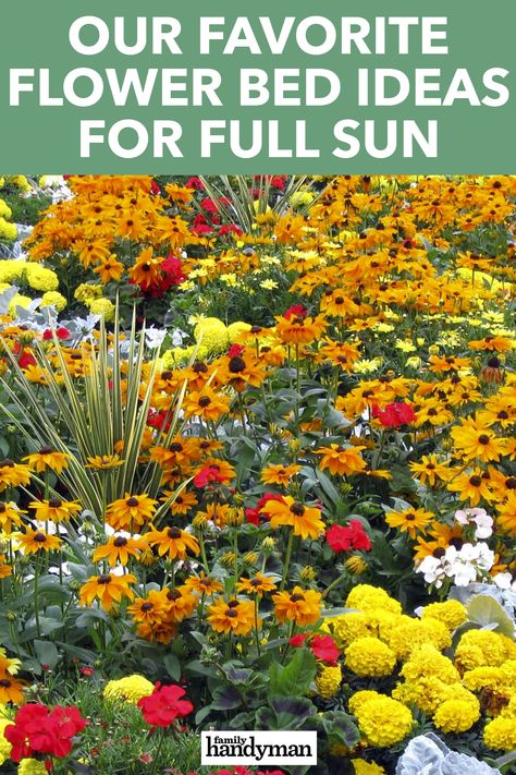 Our Favorite Flower Bed Ideas for Full Sun Flower Beds In Front Of Deck, Sunflower Front Porch Decor, Flower Bed Decor Ideas, Drought Tolerant Annuals, Flower Bed Decor, Full Sun Flowers, Garden Witch, Rose Plant Care, Garden Escape