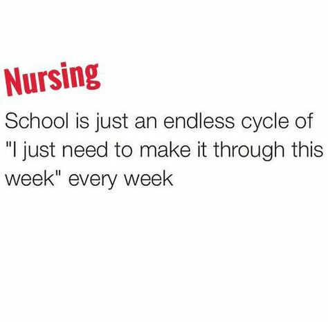 Study For Nursing School, Nursing School Quotes, Nursing School Memes, Nursing Student Humor, Nursing Motivation, Lpn Schools, Nursing School Motivation, Mountain Love, Nursing School Humor