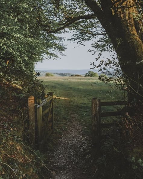 English Countryside Aesthetic, 2024 Moodboard, England Countryside, And So It Begins, Country Walk, British Countryside, English Countryside, Foto Inspiration, Nature Aesthetic