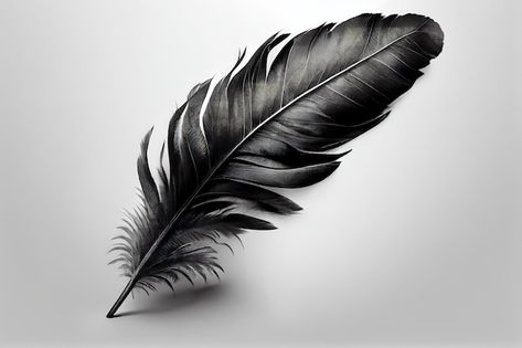 Black Swan Feathers, Raven Feather Drawing, Feather Reference, Plumas Tattoo, Dragon Tattoo Styles, Raven Feathers, Feather Photo, High Contrast Photos, Feather Template