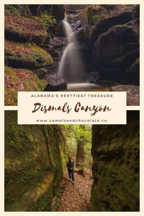 Dismals Canyon: Alabama's Most Unexpected Natural Treasure Dismals Canyon Alabama, Places To Visit In Alabama, Dismals Canyon, Southern Usa, Alabama Vacation, Southern Travel, Alabama Travel, Destination Ideas, American Travel