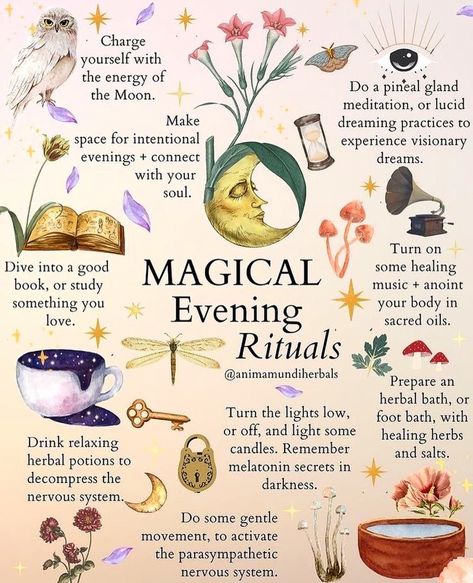 Medicine Plants, Power Of Darkness, Apothecary Herbs, Herb Drink, Healthy Routines, Lavender Moon, Herbal Tonic, Evening Rituals, Nourish Your Soul