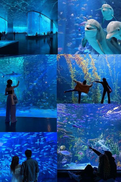 Aquarium Date Pictures, Aquarium Engagement Photos, Aquarium Date Aesthetic Couple, Aquarium Date Outfit Ideas, Aquarium Couple Photos, Date Aquarium, Planetarium Date, Aquarium Date Aesthetic, Life Is A Simulation