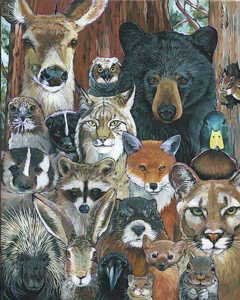 February 3rd, Deer Painting, Eyes On Me, All Eyes On Me, Woodland Creatures, All Eyes, Wildlife Art, Wild Animals, Whimsical Art