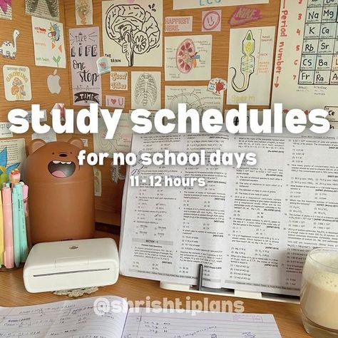 Shrishti Lambor on Instagram: "use the above schedules as a template and make a schedule for yourself that suits your daily routine, class time & sleeping hours 🫶🏻 . . . . . . . . . . . . . . . . . . . . . . @shrishtiplans #shrishtiplans #study #studygram #studymotivation #studytips #studystudystudy #studyspo #studyspiration #studyspace #studyschedule #studentcreatorfellowship #studynotes #studyvlog #studyaesthetic #studyaccount #explorepage #desksetup #deskspace #desksetups #notes #studynotes 16 Hours Study Routine, 10 Hr Study Schedule, 12 Hr Study Schedule, 15 Hours Study Routine Schedule, Night Owl Study Routine Schedule, 16 Hours Study Timetable, 10 Hour Study Schedule, Study Day Schedule, Study Schedule Aesthetic