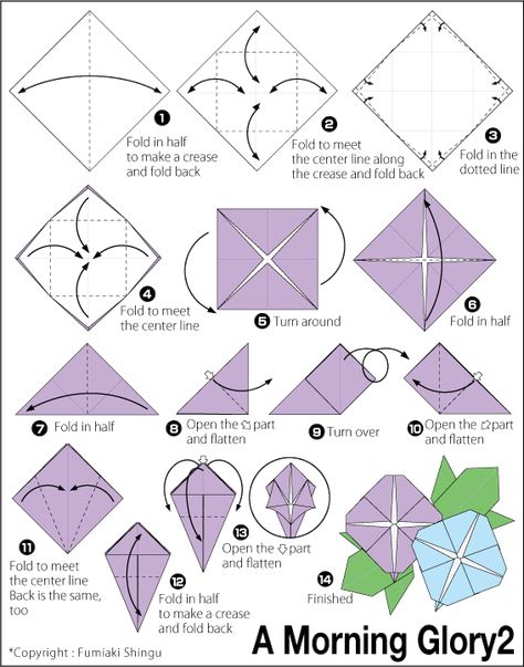 Origami Morning Glory 2 Petals Morning Glory Paper Flowers, Morning Glory Origami, Origami Lotus Flower, Easy Origami Flower, Origami Quilt, Easy Origami For Kids, Origami Diagrams, Kids Origami, Cute Origami