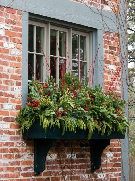 20 Easy Holiday Window Box Ideas ~ Bless My Weeds Christmas Window Boxes, Winter Window Boxes, Winter Planter, Window Box Flowers, Christmas Planters, Winter Window, Holiday Greenery, Window Planter Boxes, Have Inspiration