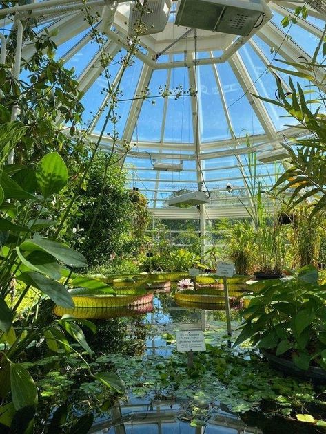 Garden Greenhouse Aesthetic, Greenhouse Garden Aesthetic, Aesthetic Botanical Garden, Botanics Aesthetic, Greenhouse Botanical Garden, Orangery Aesthetic, Botanical Gardens Aesthetic, Greenhouse Astethic, Greenhouses Aesthetic