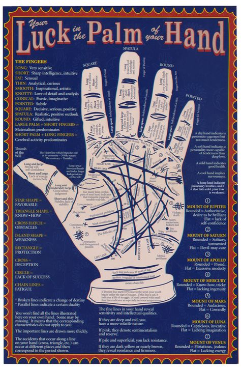 palm reading lines meanings | Palm Reading.. what does your palm say about your future? | ESPchat ... Palm Reading Lines, Palmistry Reading, Palm Lines, Math Magic, Magia Das Ervas, Basic Witch, Palm Reading, Witchy Stuff, Fortune Telling