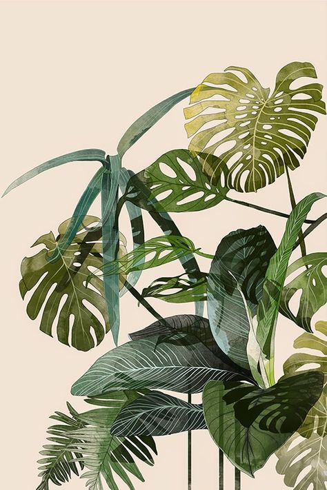 I LOVE ILLUSTRATION Tropical Leaf Decor, Seni Mural, Botanisk Illustration, Motif Tropical, Illustration Botanique, Love Illustration, Art Et Illustration, Plant Illustration, Art And Illustration