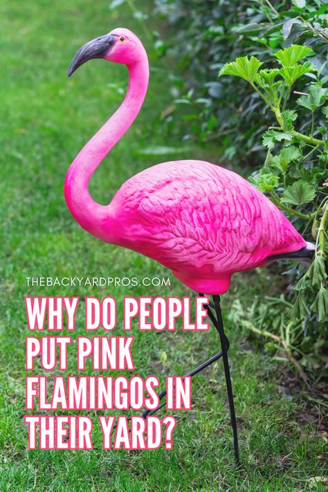 Unlock the mystery behind the iconic pink flamingos dotting yards everywhere! 🌸 Dive into the fascinating history and quirky reasons why these flamboyant birds have become a staple of suburban landscapes. From kitschy charm to hidden symbolism, discover why people just can't resist adding a touch of whimsy to their outdoor décor with these fabulous feathered friends. Let's unravel the allure together! #PinkFlamingos #YardDecor Pink Flamingo Yard Decor, Flamingo Garden Ideas, Flamingo Outdoor Decor, Pink Flamingo Craft, Flamingo Yard Decor, Flamingo Bathroom Decor, Pink Flamingos Lawn Ornaments, Flamingo Yard Art, Flamingo Decorations