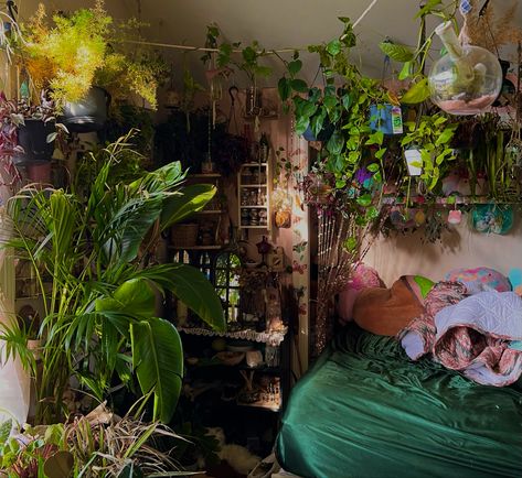 Maximalist Bedroom Alt, Maximalist Plant Bedroom, Overgrown Bedroom, Plant Filled Bedroom, Cute Cubicle Decor, Penpal Inspiration, Punk Bedroom, Moody Romantic Bedroom, Dark Feminine Bedroom