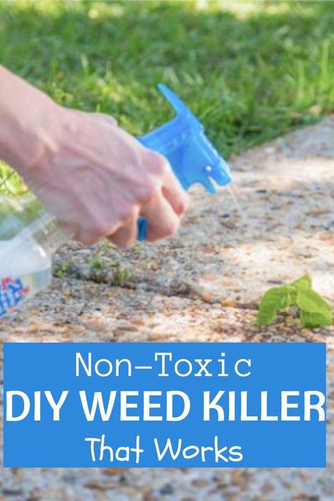 DIY weed killer Homemade Weedeater, Diy Weedeater, Natural Weedeater, Weeds In Garden, Epsom Salt To Kill Weeds, Weeds In Driveway Cracks, Vinegar Recipe For Killing Weeds, Home Made Grass Killer Weeds, Vinegar Mixture For Weeds