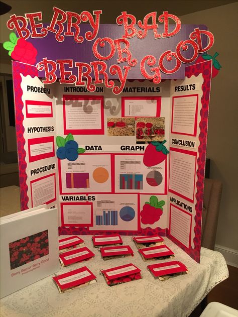 Science Fair 4th grade project Preserving Berries Interactive Trifold Board Ideas, Tri Folder Board Ideas, Creative Poster Ideas Projects, Science Project Poster Board Ideas, Tri Fold Presentation Board Ideas, Visual Project Ideas, Science Fair Projects Highschool Biology, Trifold Board Ideas School Project, Tri Board Ideas Projects