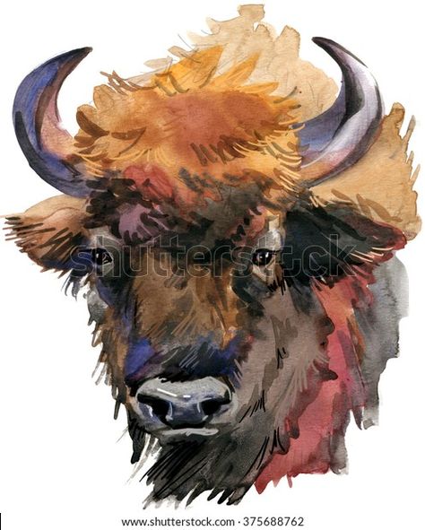 Wild Animal Watercolor, Painting Assignments, Buffalo Painting, Buffalo Animal, Bison Art, Buffalo Art, Watercolor Paintings Of Animals, Animal Watercolor, Forest Animal